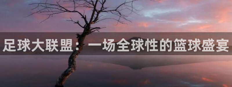 J9官方正版app集团简介:足球大联盟:一场全球性的篮球盛宴