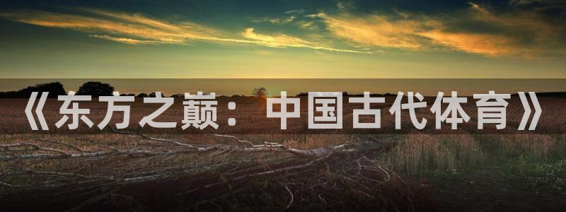 J9官网下载招商:《东方之巅:中国古代体育》